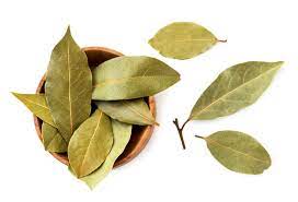 Bay Leaf